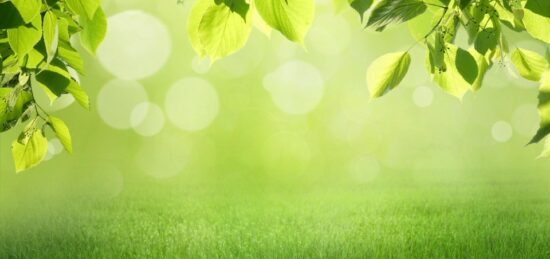 Terrain à bâtir à Biscarrosse, Nouvelle-Aquitaine