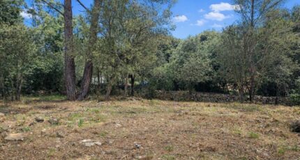 Garéoult Terrain à bâtir - 2395609-11137annonce120260116efJ1U.jpeg Maisons France Confort