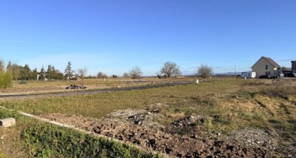 Bantzenheim Terrain à bâtir - 2395315-11028annonce220260116CeHbb.jpeg Maisons France Confort