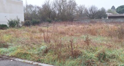 Plaisance-du-Touch Maison neuve - 2395436-9555annonce220260116JI3mB.jpeg Maisons France Confort