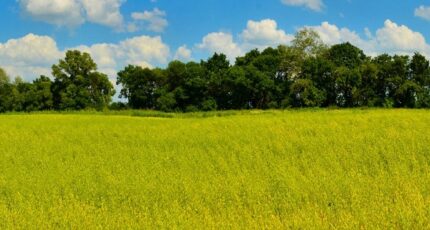 Saint-Germain-d'Esteuil Terrain à bâtir - 2370402-11274annonce120251216x2UTX.jpeg Maisons France Confort