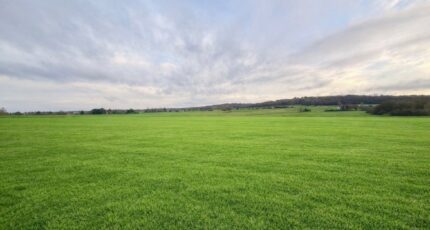 Saint-Germain-et-Mons Terrain à bâtir - 2396092-11709annonce120260116Lavca.jpeg Maisons France Confort