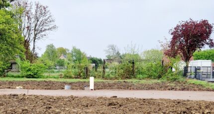 Bailleul Maison neuve - 2387039-11632annonce220260109ZXwpV.jpeg Maisons France Confort