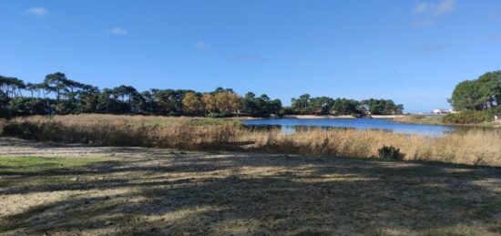 Terrain à bâtir à Mimizan, Nouvelle-Aquitaine