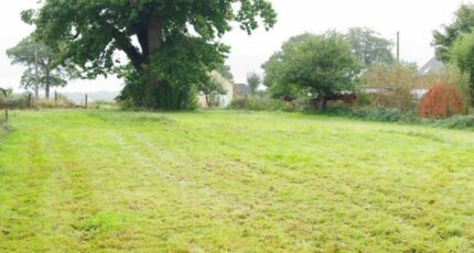 Saint-Pierre-d'Aurillac Maison neuve - 2397186-1686annonce120260119SNGpa.jpeg Maisons France Confort