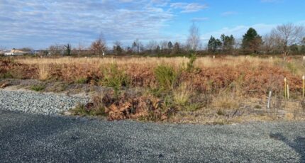 Saint-Magne Maison neuve - 2397390-11689annonce120251219UrQMq.jpeg Maisons France Confort