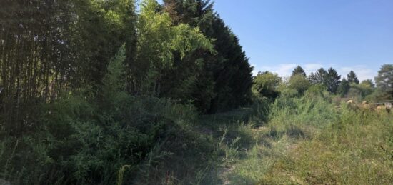 Terrain à bâtir à , Ain