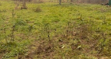 Rions Maison neuve - 2397092-3601annonce120260116H8Tbr.jpeg Maisons France Confort