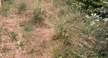 Cadillac Terrain à bâtir - 2393509-3601annonce120260115G8S3b.jpeg Maisons France Confort