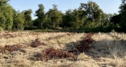 Sadirac Maison neuve - 2397503-3601annonce120260115HWWzw.jpeg Maisons France Confort