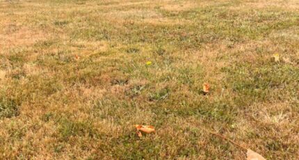 Créon Terrain à bâtir - 2393807-3601annonce120260115y8NMR.jpeg Maisons France Confort