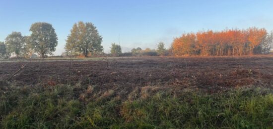 Terrain à bâtir à Le Pout, Nouvelle-Aquitaine
