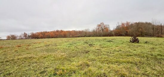 Terrain à bâtir à Monestier, Nouvelle-Aquitaine