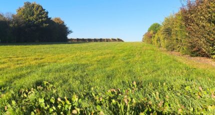 Salles-d'Angles Terrain à bâtir - 2309357-11268annonce120251017QqvaZ.jpeg Maisons France Confort