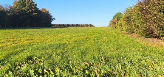 Terrain à bâtir à Salles-d'Angles, Nouvelle-Aquitaine