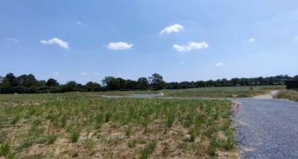 Juigné-sur-Loire Maison neuve - 2397942-10544annonce120260119JXchp.jpeg Maisons France Confort