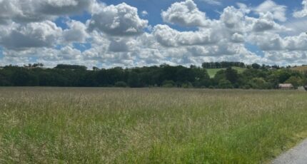 Busque Maison neuve - 2394728-2684annonce220260115xfZ9u.jpeg Maisons France Confort