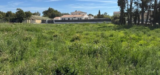 Terrain à bâtir à Montfavet, Provence-Alpes-Côte d'Azur
