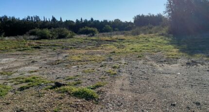 Maubec Terrain à bâtir - 2371061-695annonce2202512170BxEA.jpeg Maisons France Confort