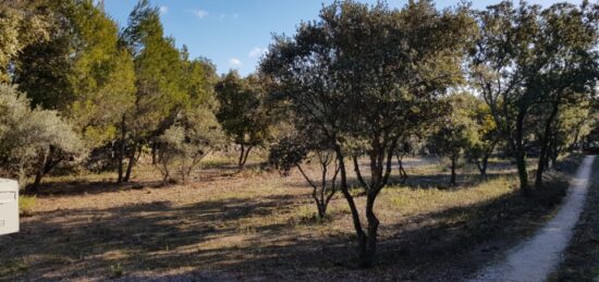 Terrain à bâtir à Saint-Restitut, Auvergne-Rhône-Alpes