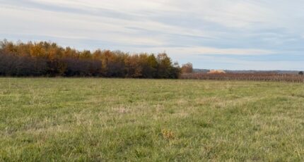 Saint-Laurent-des-Vignes Terrain à bâtir - 2397867-11709annonce120260119gkgE6.jpeg Maisons France Confort