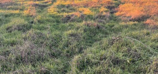 Terrain à bâtir à Langon, Nouvelle-Aquitaine