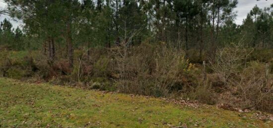 Terrain à bâtir à Saucats, Nouvelle-Aquitaine
