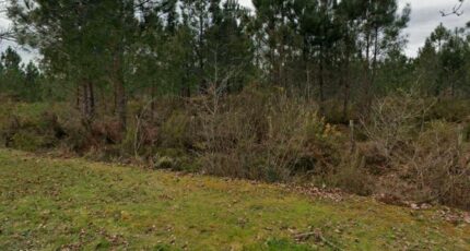 Salles Terrain à bâtir - 2398531-3601annonce320260120mJ7tx.jpeg Maisons France Confort