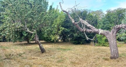 Montpon-Ménestérol Terrain à bâtir - 2398529-5020annonce120260120UAilE.jpeg Maisons France Confort