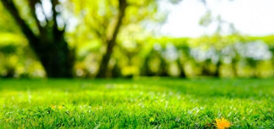 Terrain à bâtir à Porcheville, Île-de-France