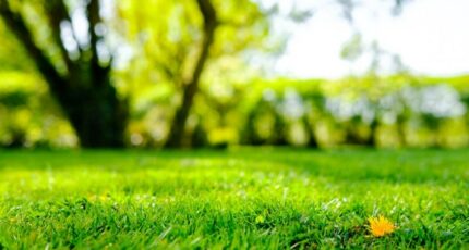 Mantes-la-Ville Terrain à bâtir - 2386025-10829annonce120260108TlTeS.jpeg Maisons France Confort