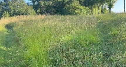 Villefranche-de-Lauragais Maison neuve - 2397976-annonceTerrain-20260119153458.JPEG Maisons France Confort