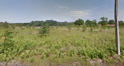 Parentis-en-Born Maison neuve - 2398789-3601annonce120260107zU01z.jpeg Maisons France Confort