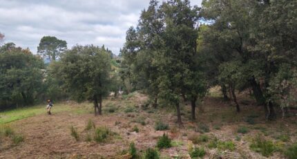 Taradeau Terrain à bâtir - 2372327-10025annonce120251218bSTv9.jpeg Maisons France Confort