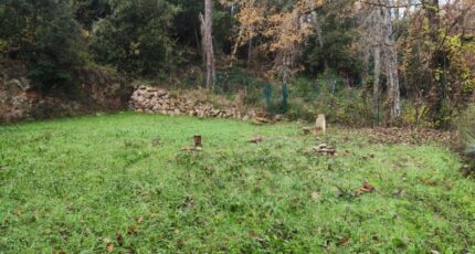 Taradeau Terrain à bâtir - 2372327-10025annonce520251218raQNQ.jpeg Maisons France Confort