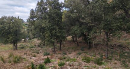 Taradeau Terrain à bâtir - 2372327-10025annonce420251218IMDMB.jpeg Maisons France Confort