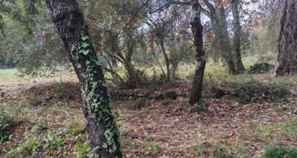 Lorgues Maison neuve - 2371937-10025annonce520251218VCFrS.jpeg Maisons France Confort