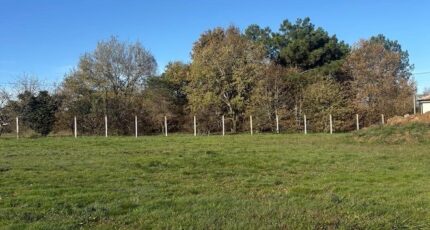 Les Peintures Maison neuve - 2338004-10947annonce1202511141yqkU.jpeg Maisons France Confort