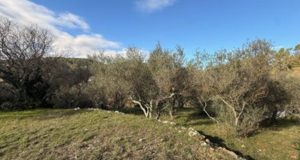 Carnoules Terrain à bâtir - 2399170-11136annonce220260120yDhDM.jpeg Maisons France Confort