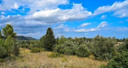 Valflaunès Terrain à bâtir - 2399227-3243annonce120260120nDHuI.jpeg Maisons France Confort