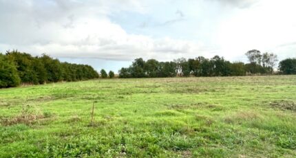 Saint-Georges-du-Bois Terrain à bâtir - 2370339-9644annonce320251216ol0Fg.jpeg Maisons France Confort