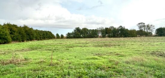 Terrain à bâtir à Saint-Georges-du-Bois, Nouvelle-Aquitaine