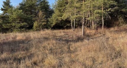 Tallard Maison neuve - 2399508-11714annonce120260120uh6ck.jpeg Maisons France Confort