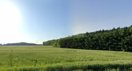 Lignières-de-Touraine Terrain à bâtir - 2399867-9897annonce1202601217w30S.jpeg Maisons France Confort