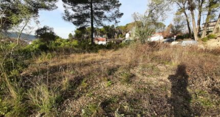 Draguignan Terrain à bâtir - 2399976-10295annonce220260121O2Hfq.jpeg Maisons France Confort