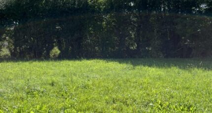 Le Chevain Maison neuve - 2309240-3704annonce120251017v33Ud.jpeg Maisons France Confort