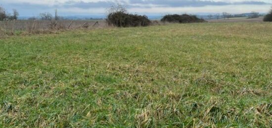 Terrain à bâtir à Saint-Cosme-en-Vairais, Pays de la Loire