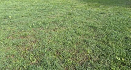 Saint-Sulpice Maison neuve - 2394402-11356annonce220260115Fbzs7.jpeg Maisons France Confort