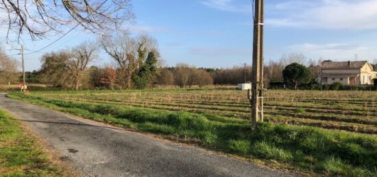 Terrain à bâtir à Saint-Savin, Nouvelle-Aquitaine
