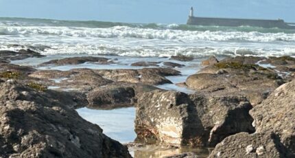 Château-d'Olonne Maison neuve - 2400509-10920annonce4202601210keow.jpeg Maisons France Confort